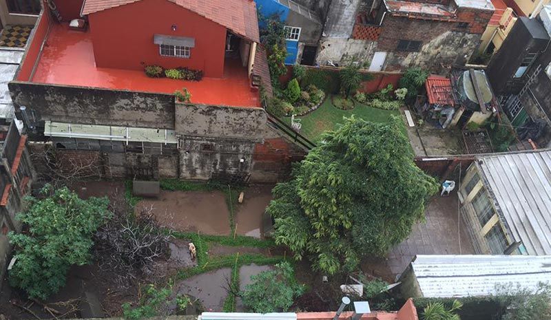Perros en pésimas condiciones en el criadero del pasaje Julio S. Dantas en Villa del Parque