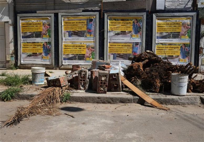 Residuos, escombros y restos de un árbol
