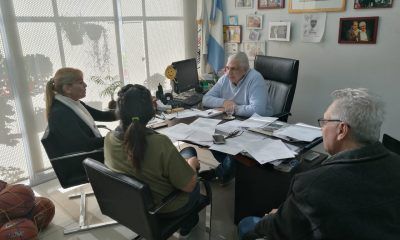 Carlos Guzzini Comuna 11