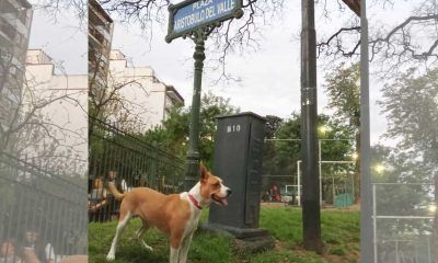 Plaza Aristobulo del Valle, Villa del Parque
