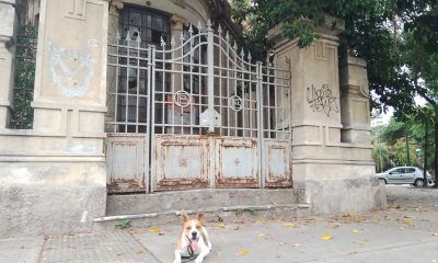 Casa Beiro Villa Devoto