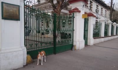 Instituto Oncológico Roffo
