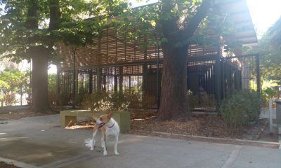 SUM plaza Aristobulo del Valle Villa del Parque