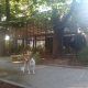 SUM plaza Aristobulo del Valle Villa del Parque