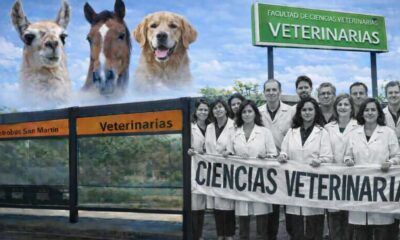 Metrobus San Martín Empedrado Veterinarias