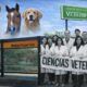 Metrobus San Martín Empedrado Veterinarias