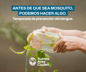 banner - Cómo prevenir el dengue