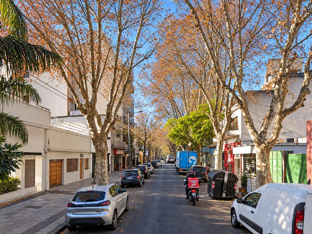 Calle Cuenca Platanos