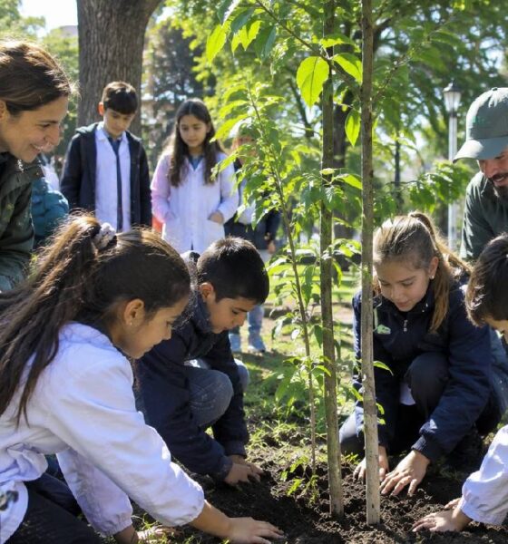 Plantación arbol Villa Devoto
